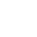 Sellpro Logo Loader