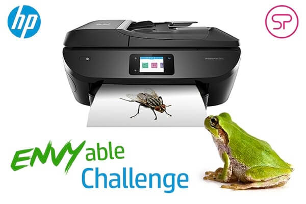 An ENVYable Challenge