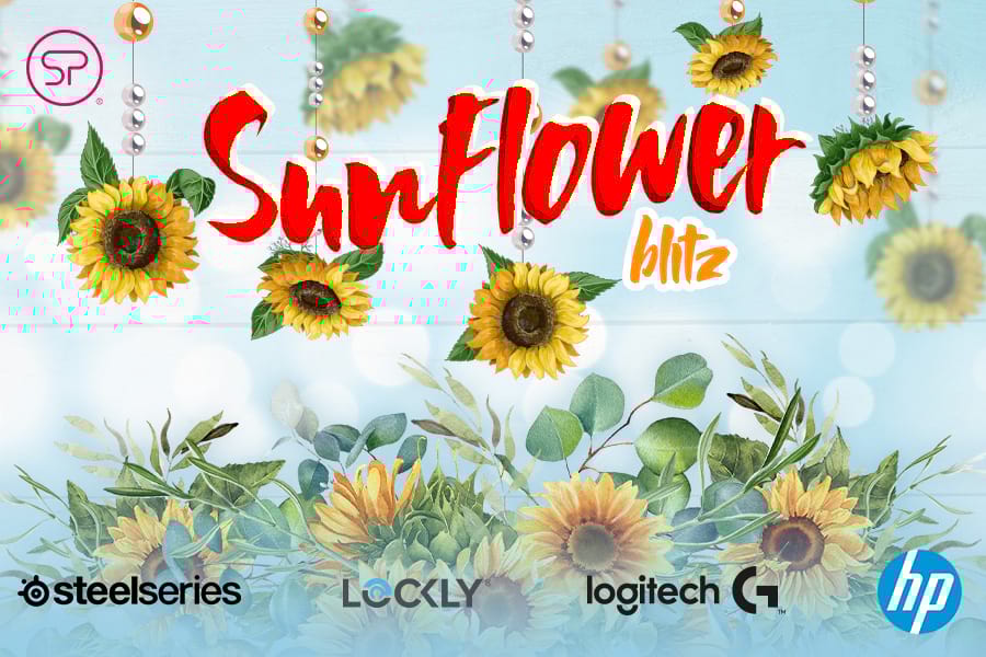 Sunflower Blitz graphic Sunflower Blitz